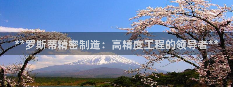 彩神v8官网版：**罗斯蒂精密制造：高精度工程的领导者**