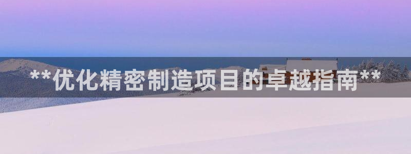 彩神大发黑平台：**优化精密制造项目的卓越指南**