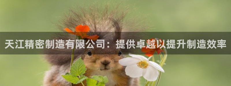 彩神v8手机客户端怎么下载：天江精密制造有限公司：提供卓越以提升制造效率