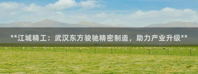 彩神的邀请码是多少：**江城精工：武汉东方骏驰精密制造，助力产业升级**