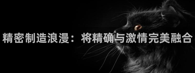 彩神v下载安装：精密制造浪漫：将精确与激情完美融合