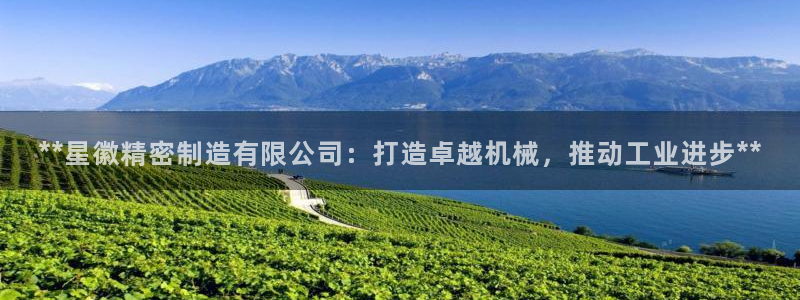 彩神v8是一个什么平台啊：**星徽精密制造有限公司：打造卓越机械，推动工业进步**