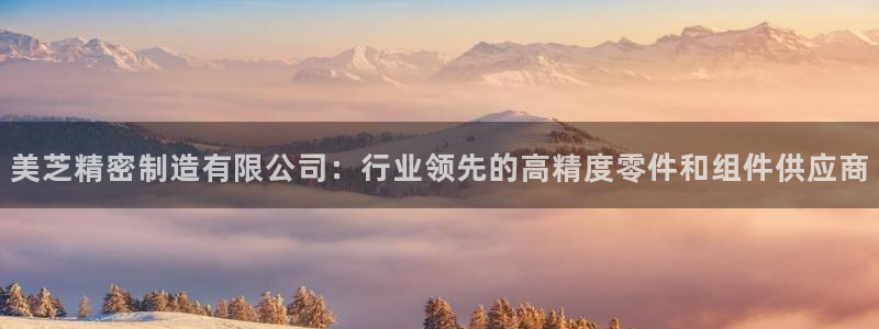 彩神viii是正规平台吗?：美芝精密制造有限公司：行业领先的高精度零件和组件供应商