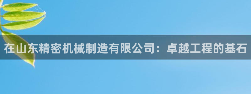 彩神大发官网：在山东精密机械制造有限公司：卓越工程的基石