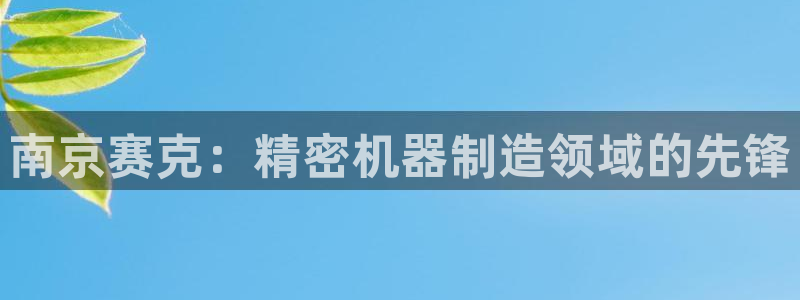 彩神旗下有哪些平台可以看：南京赛克：精密机器制造领域的先锋
