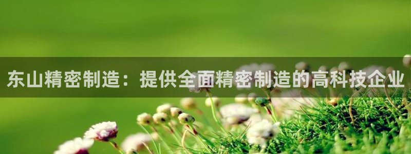 彩神vl官网：东山精密制造：提供全面精密制造的高科技企业
