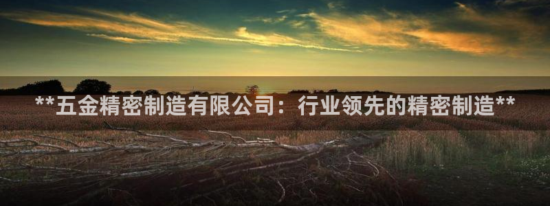 新版彩神v8登录教程