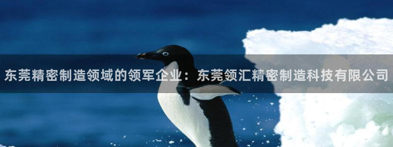 新版彩神v8登录不上去
