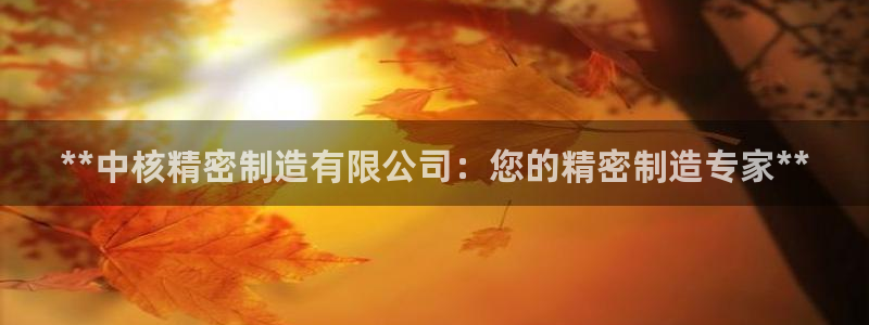 彩神viii官网