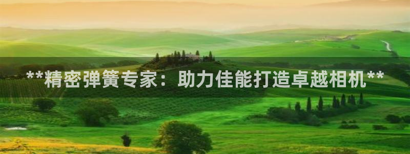 彩神vip购彩大厅在哪