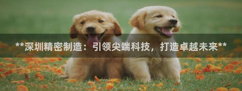 彩神v争霸有限公司