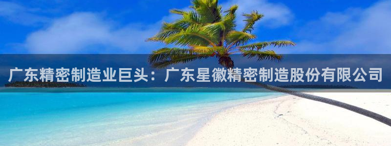 彩神平台注册登录