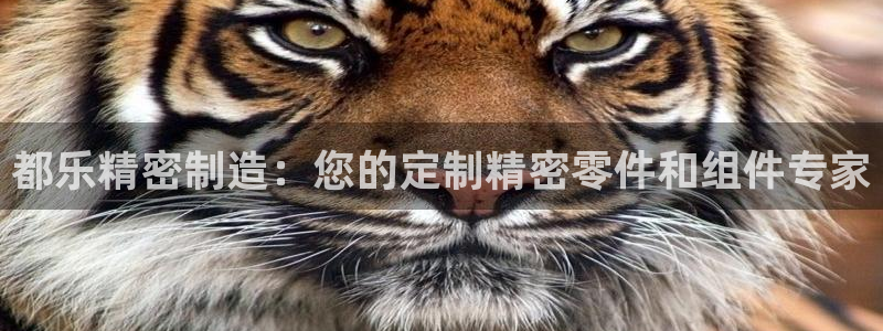 彩神v8是真的挣钱吗