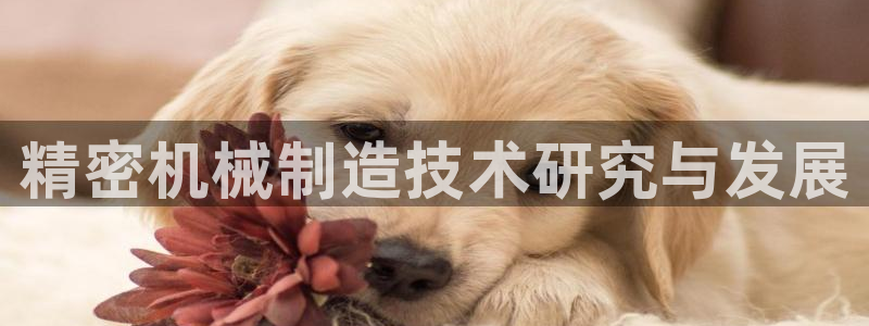 彩神V3大赢家