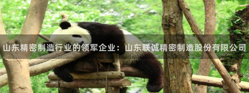 下载彩神通关注码