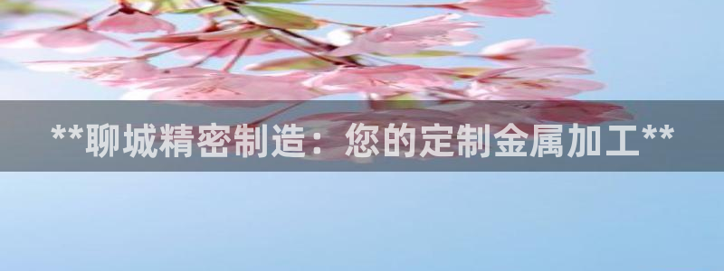 彩神vii手游下载：**聊城精密制造：您的定制金属加工**