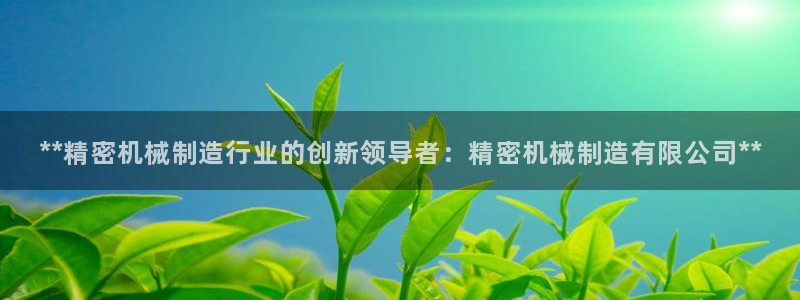 彩神是正规平台吗安全吗：**精密机械制造行业的创新领导者：精密机械制造有限公司**