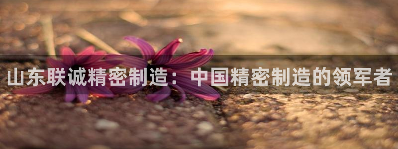 彩神v8下载app：山东联诚精密制造：中国精密制造的领军者