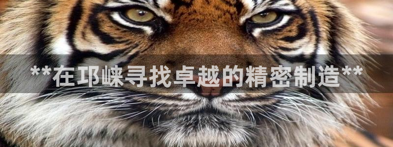 彩神购彩-购彩大厅入口老版：**在邛崃寻找卓越的精密制造**