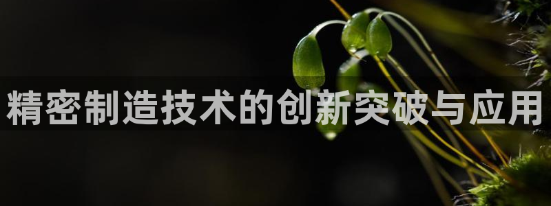 彩神VII官方版：精密制造技术的创新突破与应用