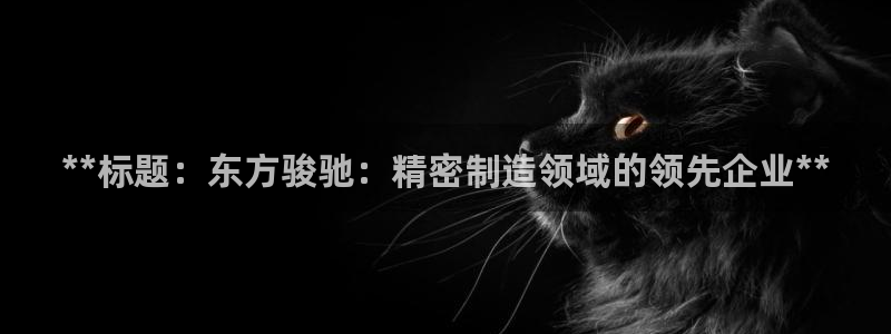 彩神v8平台正规吗：**标题：东方骏驰：精密制造领域的领先企业**