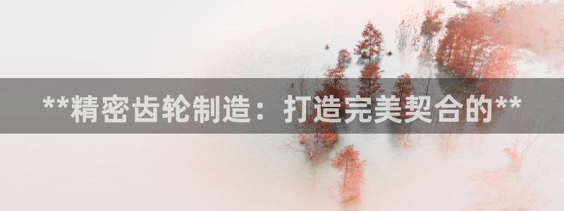 彩神官方登录：**精密齿轮制造：打造完美契合的**