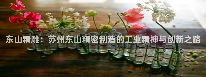 彩神ix官网：东山精雕：苏州东山精密制造的工业精神与创新之路
