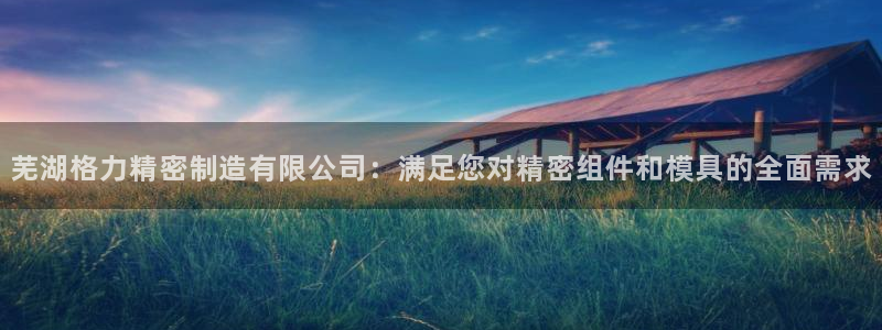 在彩神网输了六万多怎么拿回来：芜湖格力精密制造有限公司：满足您对精密组件和模具的全面需求