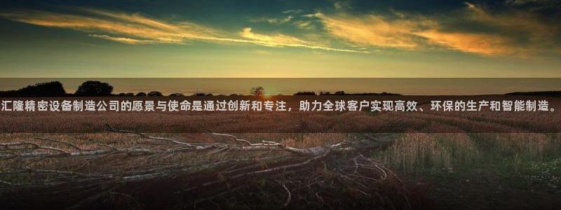 所有彩神购买首页：汇隆精密设备制造公司的愿景与使命是通过创新和专注，助力全球客户实现高效、环保的生产和智能制造
