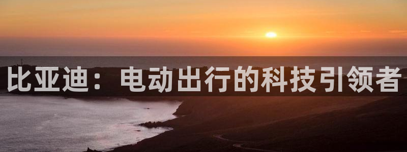 彩神ix官网：比亚迪：电动出行的科技引领者