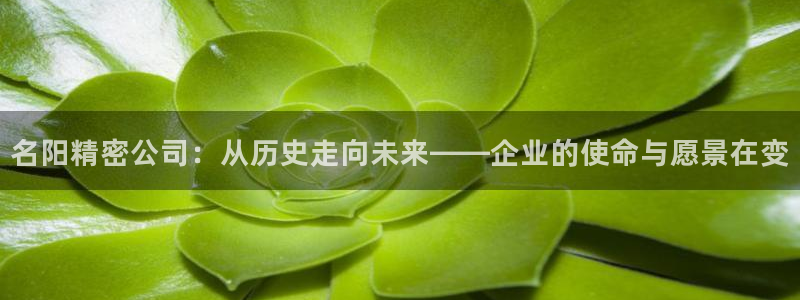 彩神v8购彩大厅登：名阳精密公司：从历史走向未来——企业的使命与愿景在变