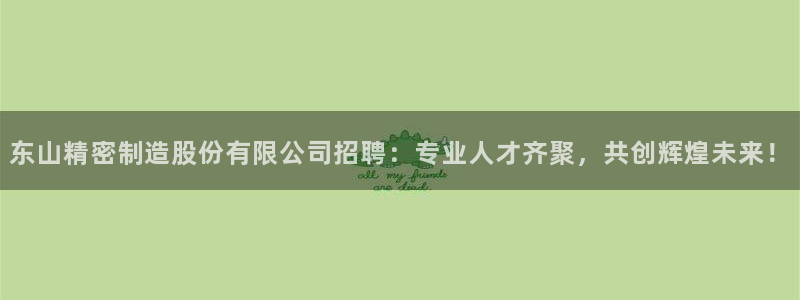 彩神网合法吗：东山精密制造股份有限公司招聘：专业人才齐聚，共创辉煌未来！