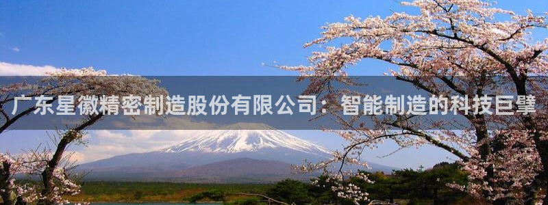 彩神客服电话：广东星徽精密制造股份有限公司：智能制造的科技巨擘