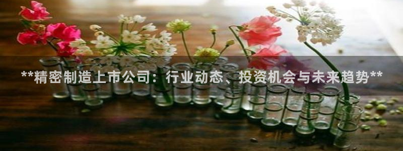彩神8最新版下载：**精密制造上市公司：行业动态、投资机会与未来趋势**