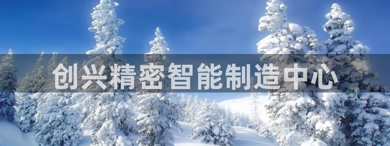 彩神是怎样一个平台赚钱的：创兴精密智能制造中心