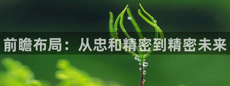 彩神旗下有哪些平台可以看：前瞻布局：从忠和精密到精密未来