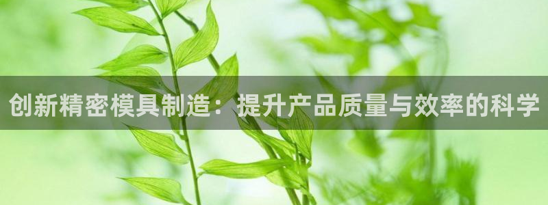 彩神V官网：创新精密模具制造：提升产品质量与效率的科学