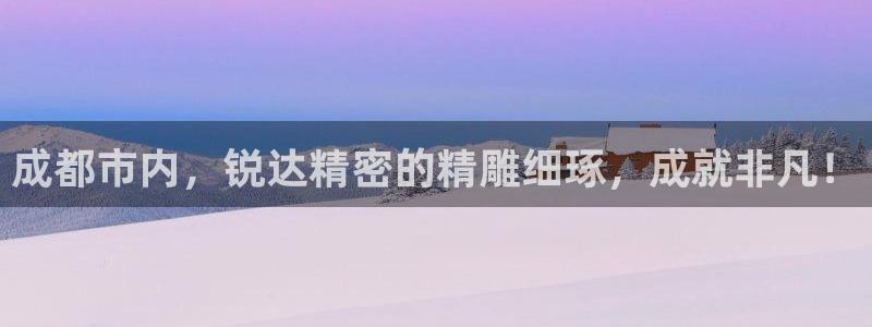 新版彩神v8登录不了：成都市内，锐达精密的精雕细琢，成就非凡！