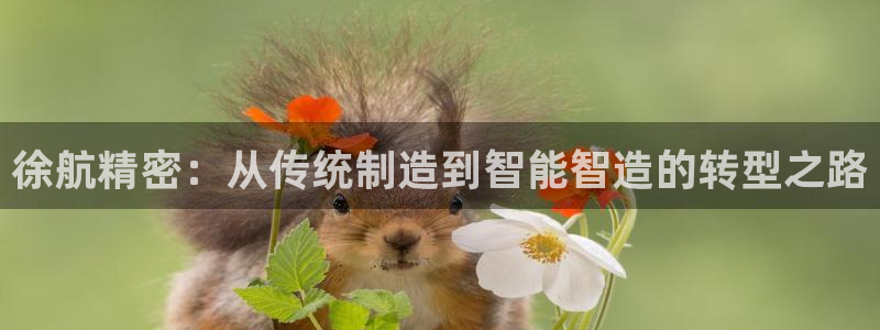 彩神v|：徐航精密：