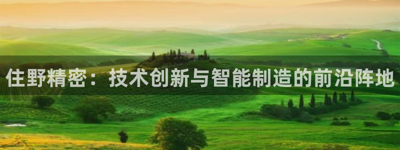 彩神vl官网：住野精
