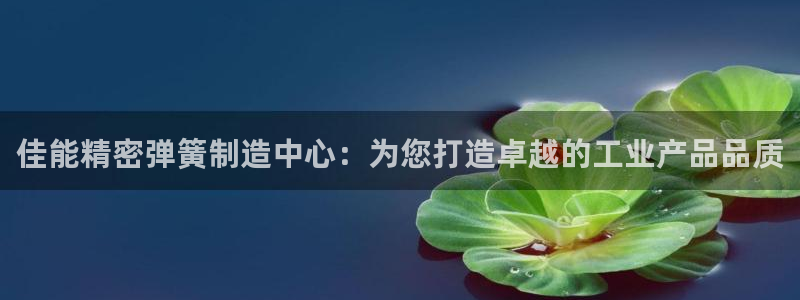 在彩神网输了六万多怎么拿回来：佳能精密弹簧制造中心：为您打造卓越的工业产品品质