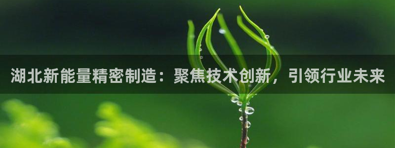 彩神Vii购彩-购彩大厅：湖北新能量精密制造：聚焦技术创新，引领行业未来