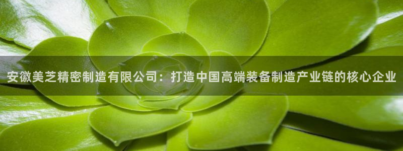 彩神是正规平台吗安全吗：安徽美芝精密制造有限公司：打造中国高端装备制造产业链的核心企业