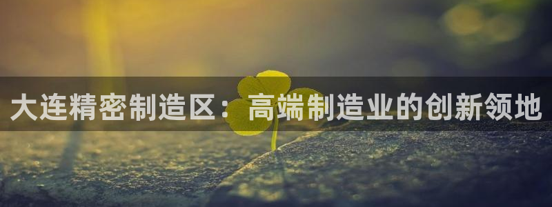 彩神平台是什么套路：大连精密制造区：高端制造业的创新领地