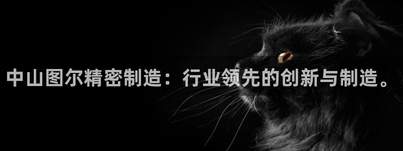 彩神app赚钱是真是假：中山图尔精密制造：行业领先的创新与制造。