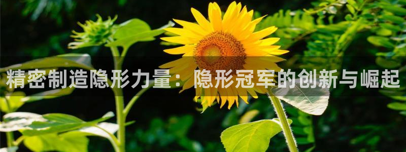 彩神是什么平台的游戏