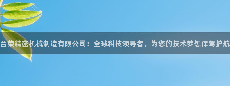 彩神vl官网：台荣精