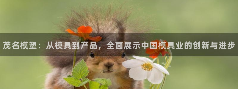 彩神通官方网