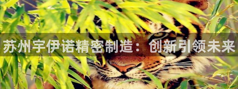 彩神通关注码金码对应码