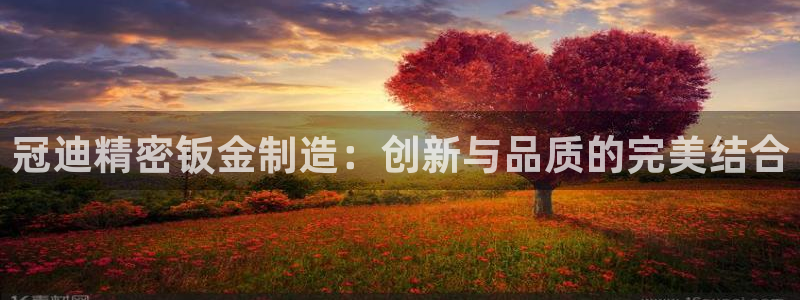 彩神v8下载app：